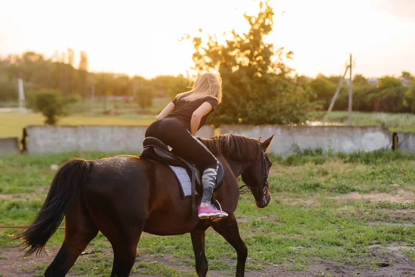 Ein Junges Hübsches Jockey Mädchen Reitet Auf Einem Vollblut Hengst — Stockfoto