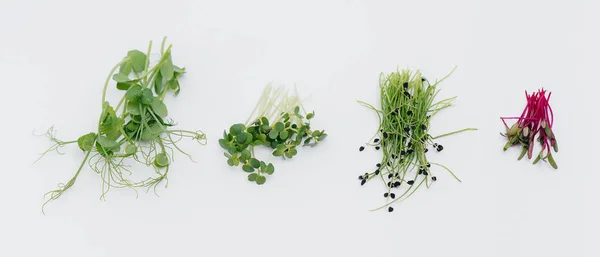 Micro Groene Spruiten Close Een Witte Achtergrond Met Vrije Ruimte — Stockfoto