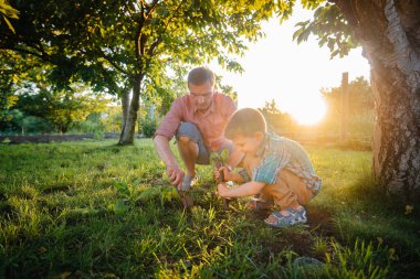 Küçük erkek ve kız kardeşler gün batımında babalarıyla güzel bir bahar bahçesinde fidanlar dikiyorlar. Yeni bir hayat. Çevreyi koru. Çevredeki dünyaya ve doğaya karşı dikkatli olun.