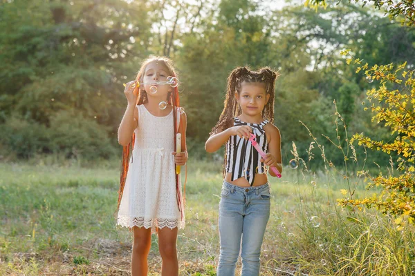 Дві Милі Дівчата Кісками Граються Парку Підірвавши Мильні Бульбашки — стокове фото