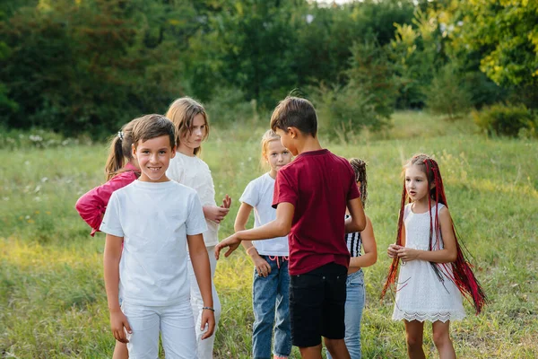 Grupo Niños Felices Corren Juegan Parque Atardecer Campamento Infantil Verano —  Fotos de Stock