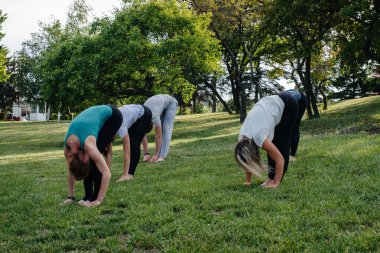 Bir grup insan gün batımında parkta yoga yapıyor. Sağlıklı yaşam tarzı, meditasyon ve sağlık