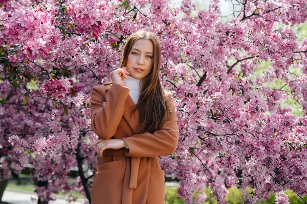 Güzel bir genç kız, bahar günü çiçek açan bir elma bahçesinde yürür. Yaşam tarzı, eğlence.