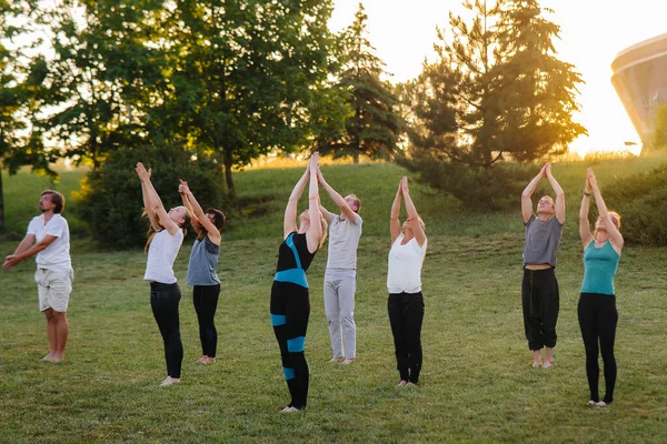 Grupo Personas Hace Yoga Parque Atardecer Vida Sana Meditación Bienestar — Foto de Stock