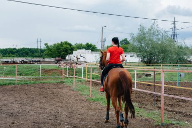 Genç ve güzel bir kız, bir yaz günü çiftlikte safkan bir Mare 'ye binmeyi öğreniyor. At binme, eğitim ve rehabilitasyon