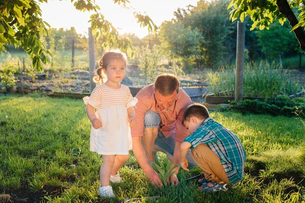 Irmãozinho Irmã Estão Plantando Mudas Com Seu Pai Belo Jardim — Fotografia de Stock