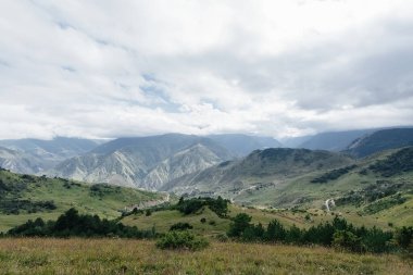 Güneşli bir günde etraflarındaki güzel dağlar ve vahşi yaşam