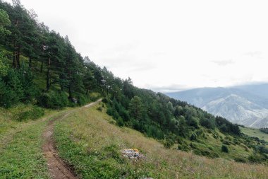 Güneşli bir günde etraflarındaki güzel dağlar ve vahşi yaşam