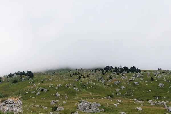 Belles Montagnes Faune Autour Eux Par Une Journée Ensoleillée — Photo