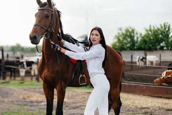 Une Jeune Jolie Cavalière Pose Près Étalon Pur Sang Dans — Photo