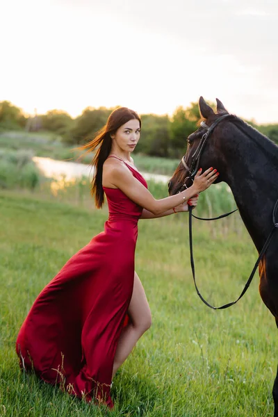 一个身穿红色衣服的年轻漂亮的姑娘在日落时分和一匹纯种种马在农场里摆姿势 爱护动物 — 图库照片