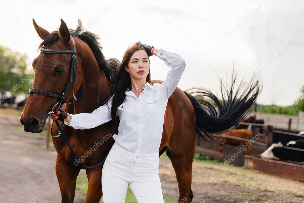 A young pretty girl rider poses near a thoroughbred stallion on a ranch. Horse riding, horse racing