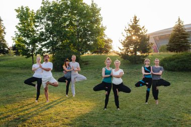 Bir grup insan gün batımında parkta yoga yapıyor. Sağlıklı yaşam tarzı, meditasyon ve sağlık