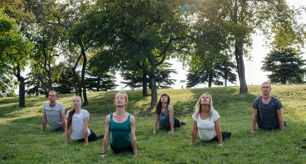人々のグループは 日没時に公園でヨガを行います 健康的なライフスタイル 瞑想とウェルネス — ストック写真