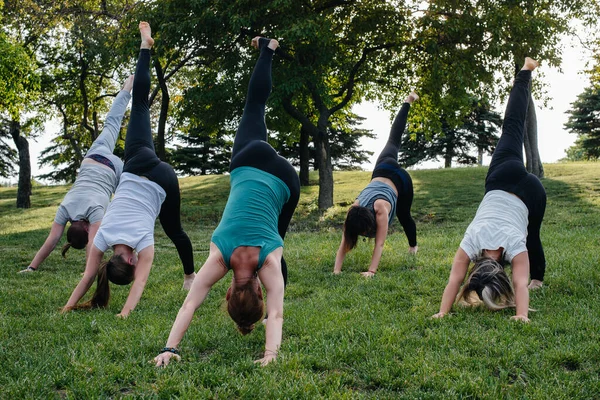 Група Людей Робить Йогу Парку Заході Сонця Здоровий Спосіб Життя — стокове фото