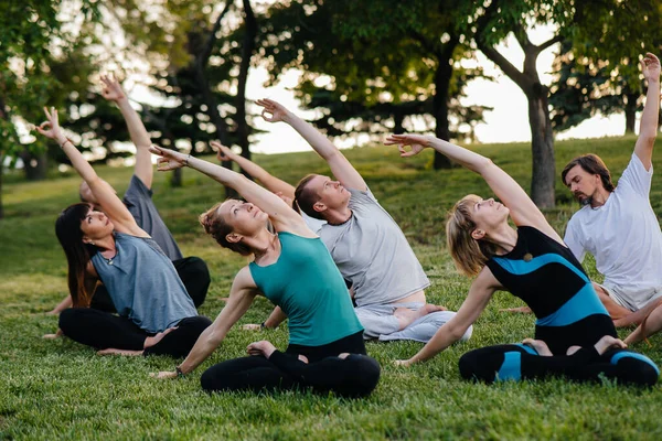 Grupo Personas Hace Yoga Parque Atardecer Vida Sana Meditación Bienestar — Foto de Stock