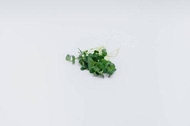 Mikro-yeşil filizler beyaz arka planda yakın plan ve boş alan. Sağlıklı yemek ve yaşam tarzı