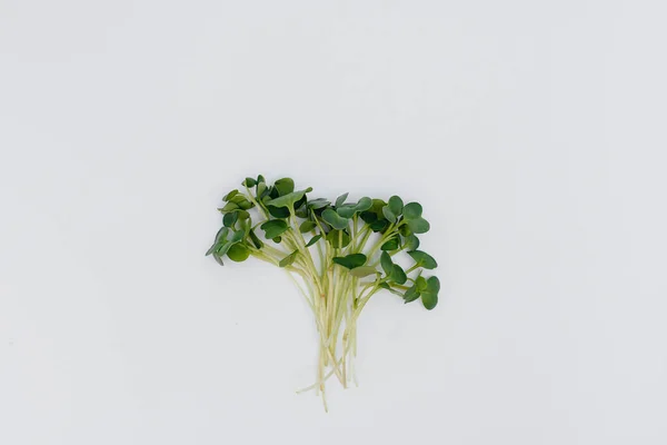 Brotos Micro Verdes Close Fundo Branco Com Espaço Livre Alimentação — Fotografia de Stock