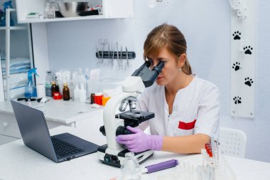 Laboratuvardaki kadın bir doktor mikroskop altında virüs ve bakterileri inceliyor. Tehlikeli virüs ve bakteri araştırmaları