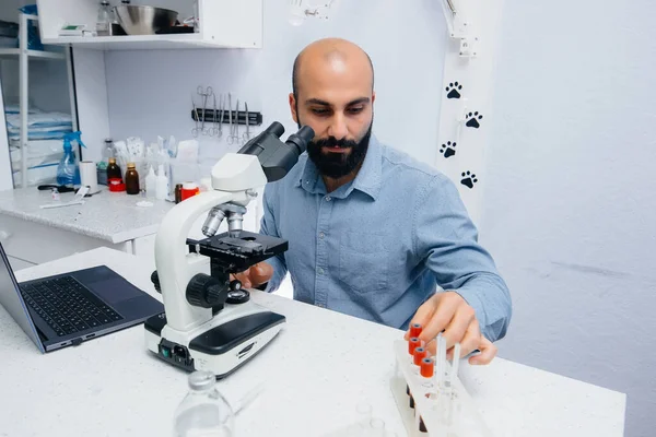 A male doctor in the laboratory studies viruses and bacteria under a microscope. Research of dangerous viruses and bacteria