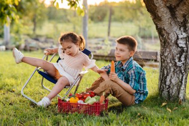 Küçük bir oğlan ve kız gün batımında bir kutu olgun sebzeyle bahçede bir ağacın altında oturuyorlar. Tarım, hasat. Çevre dostu ürün