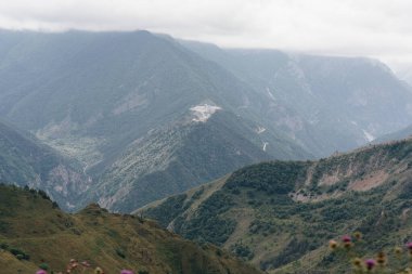 Güneşli bir günde etraflarındaki güzel dağlar ve vahşi yaşam.