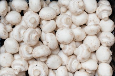 Yakın plan çekimden sonra depodaki bir kutuda taze taze mantarlar..