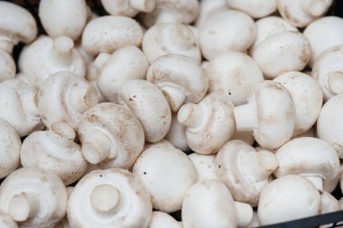 Yakın plan çekimden sonra depodaki bir kutuda taze taze mantarlar..