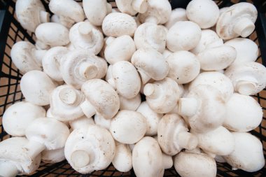 Yakın plan çekimden sonra depodaki bir kutuda taze taze mantarlar..