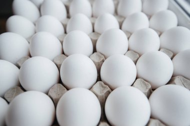 Karton bir form üzerine yakın plan beyaz yumurta tepsisi. Tarım endüstrisi