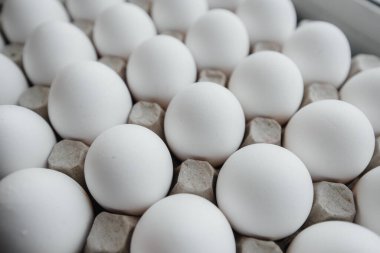 Karton bir form üzerine yakın plan beyaz yumurta tepsisi. Tarım endüstrisi
