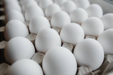 Karton bir form üzerine yakın plan beyaz yumurta tepsisi. Tarım endüstrisi