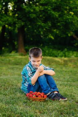 Küçük tatlı bir çocuk büyük bir kutu olgun ve lezzetli çilekle oturuyor. Hasat et. Olgun çilekler. Doğal ve lezzetli dut.