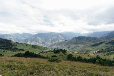 Güneşli bir günde etraflarındaki güzel dağlar ve vahşi yaşam