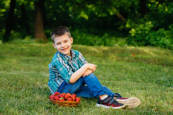 小さなかわいい男の子が熟したおいしいイチゴの大きな箱に座っています 収穫だ イチゴを熟す 自然でおいしいベリー — ストック写真