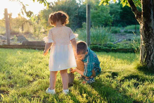 Irmãozinho Irmã Estão Plantando Mudas Com Seu Pai Belo Jardim — Fotografia de Stock