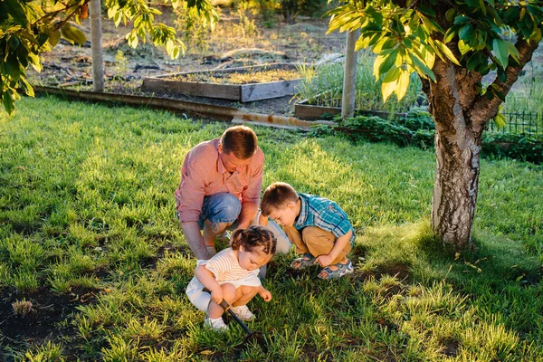 Little Brother Sister Planting Seedlings Father Beautiful Spring Garden Sunset — Stock Photo, Image