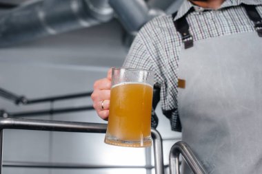 Genç sakallı bir bira imalatçısı bira fabrikasında yeni demlenmiş biranın kalite kontrolünü elinde tutuyor..