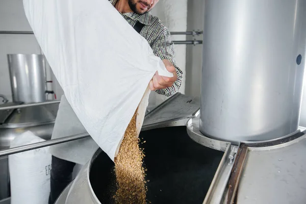 Genç Bir Erkek Bira Üreticisi Bira Için Bir Kaba Malt — Stok fotoğraf