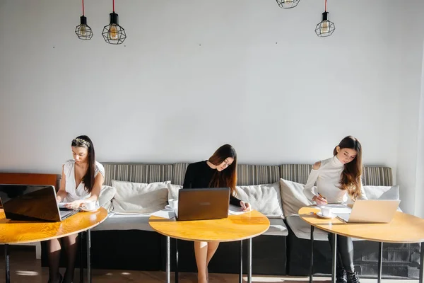 Bir Grup Genç Kız Ofiste Oturup Bilgisayar Başında Çalışıyor Letişim — Stok fotoğraf