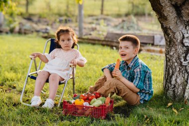 Küçük bir oğlan ve kız gün batımında bir kutu olgun sebzeyle bahçede bir ağacın altında oturuyorlar. Tarım, hasat. Çevre dostu ürün