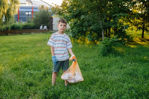 Rapaz Sete Anos Pôr Sol Está Envolvido Recolha Lixo Parque — Fotografia de Stock