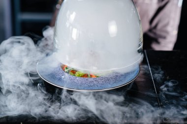 Profesyonel bir aşçı, kalın dumanlı cam kaputun altında yeni hazırlanmış domates ve dana eti salatası servis eder. Restoranda güzel dumanlı servis..