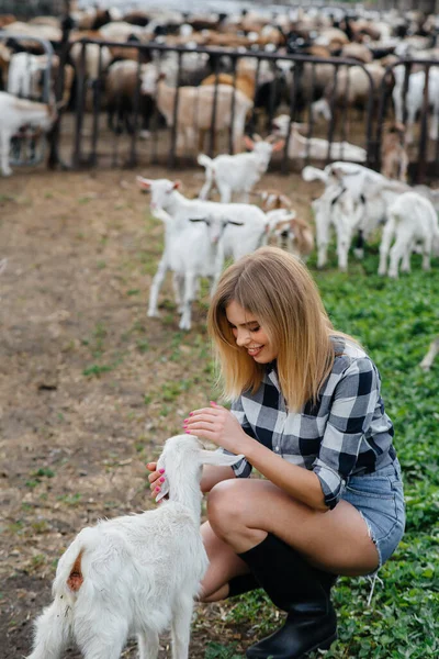 Молодая Красивая Девушка Позирует Ранчо Козами Другими Животными Сельское Хозяйство — стоковое фото