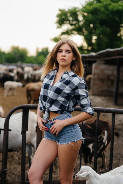소녀가 염소와 동물들과 목장에서 포즈를 취합니다 — 스톡 사진