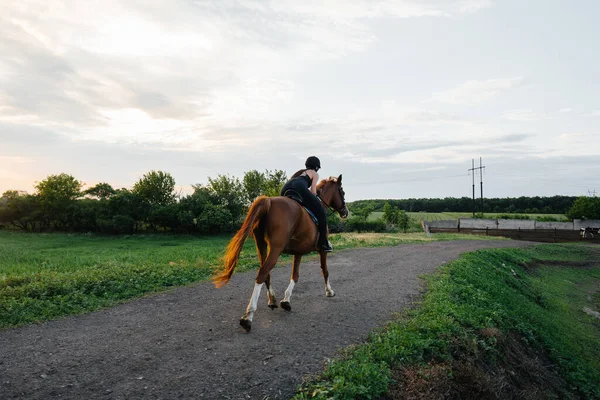 Mladá Hezká Dívka Žokej Plnokrevném Hřebci Zapojena Jízdy Koni Při — Stock fotografie