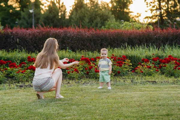 小さな息子に草の上の公園で日没の間に彼の最初の一歩を踏み出すことを教えます — ストック写真