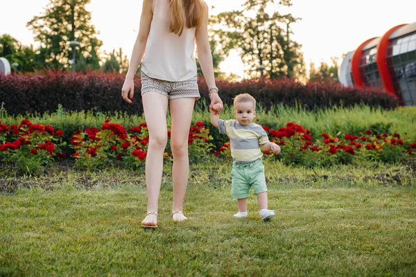小さな息子に草の上の公園で日没の間に彼の最初の一歩を踏み出すことを教えます — ストック写真