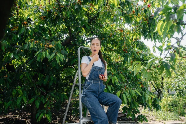 夏の日に庭で熟した甘いチェリーを収集し 食べる全体の脚立の上の若いかわいい女の子 — ストック写真