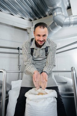 Genç bir erkek bira imalatçısı bira için bir malt tutuyor. Bira Fabrikası.